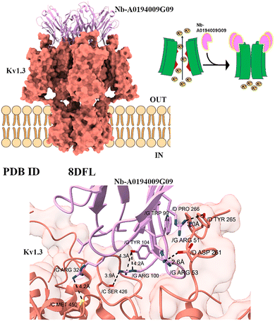 image file: d5cc05022g-f4.tif
