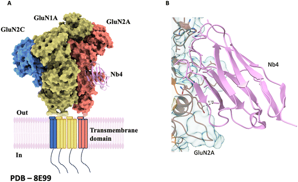image file: d5cc05022g-f6.tif