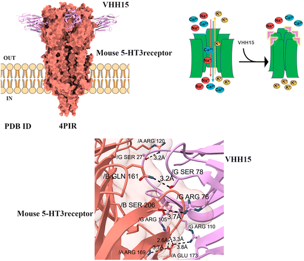 image file: d5cc05022g-f8.tif