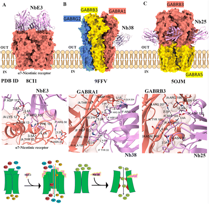 image file: d5cc05022g-f9.tif