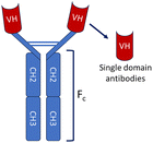image file: d5cc05022g-u2.tif