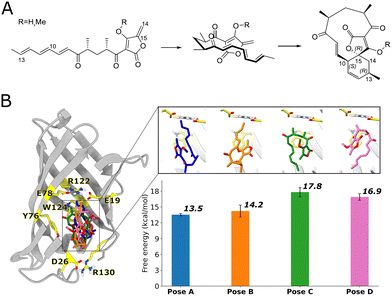 image file: d5cc05141j-f1.tif