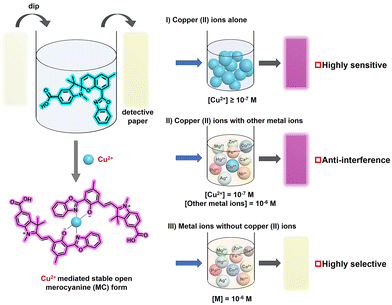 image file: d5cc05144d-f1.tif