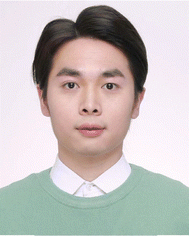 image file: d5cc05375g-p1.tif