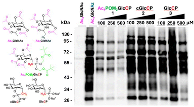 image file: d5cc05452d-f2.tif