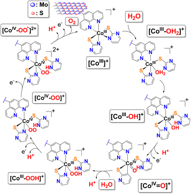 image file: d5cc05575j-f5.tif