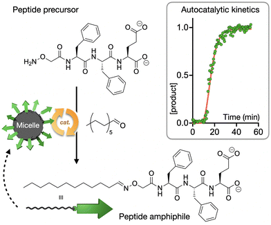 image file: d5cc05628d-f4.tif