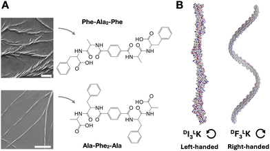 image file: d5cc05628d-f5.tif