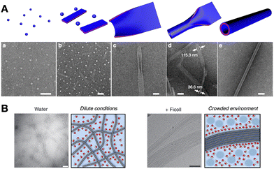 image file: d5cc05628d-f7.tif