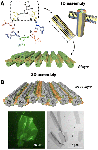 image file: d5cc05628d-f8.tif