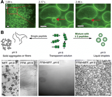image file: d5cc05628d-f9.tif