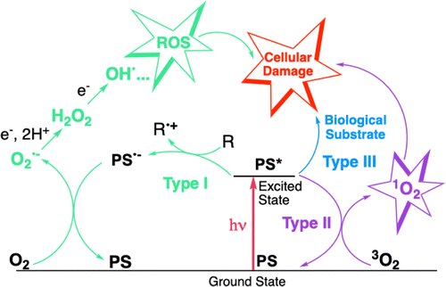 image file: d5cc05629b-f1.tif