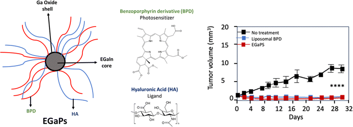 image file: d5cc05629b-f5.tif