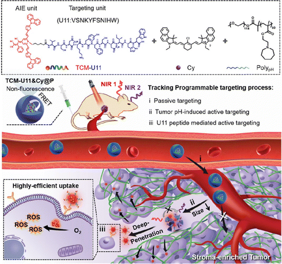 image file: d5cc05629b-f8.tif