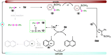 image file: d5cc05687j-s1.tif