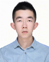 image file: d5cc05697g-p2.tif