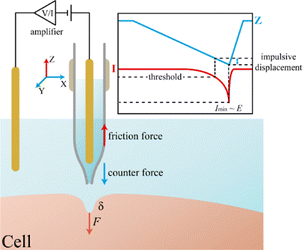 image file: d5cc05775b-f1.tif