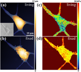 image file: d5cc05775b-f3.tif
