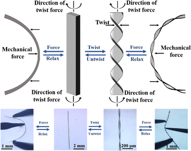 image file: d5cc05852j-f4.tif