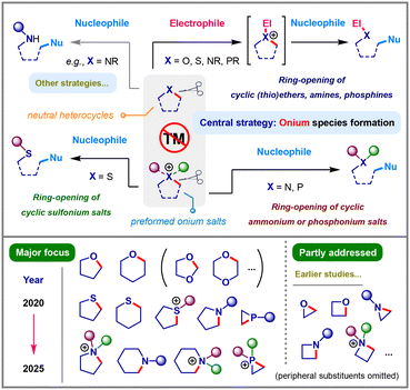 image file: d5cc05893g-f1.tif