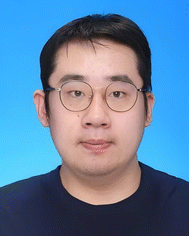 image file: d5cc05893g-p1.tif