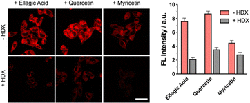 image file: d5cc05915a-f3.tif