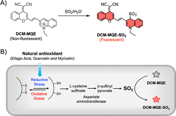 image file: d5cc05915a-s1.tif