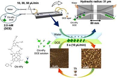 image file: d5cc05947j-f3.tif