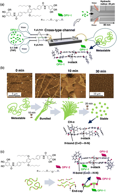 image file: d5cc05947j-f4.tif
