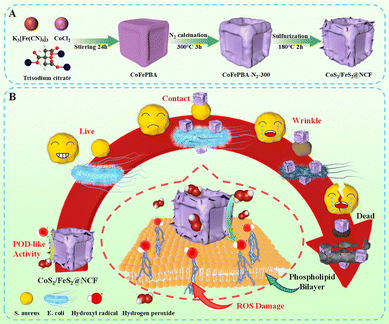 image file: d5cc05950j-f1.tif