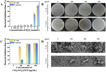 image file: d5cc05950j-f3.tif