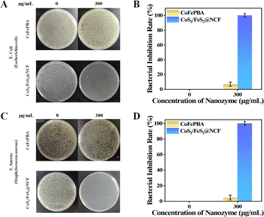 image file: d5cc05950j-f4.tif