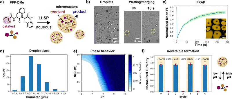 image file: d5cc06002h-f1.tif