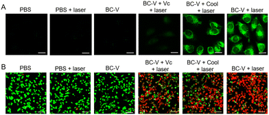 image file: d5cc06006k-f2.tif