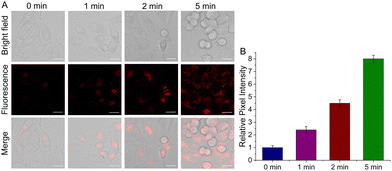 image file: d5cc06006k-f3.tif