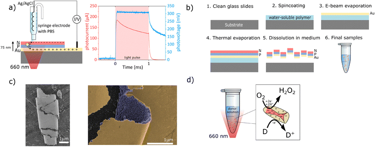 image file: d5cc06012e-f1.tif