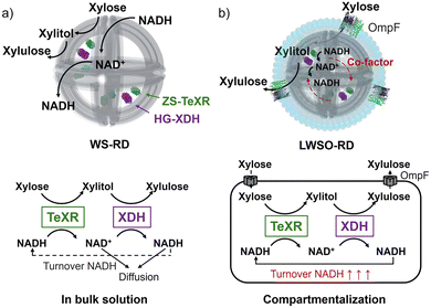 image file: d5cc06049d-f1.tif