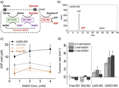 image file: d5cc06049d-f4.tif