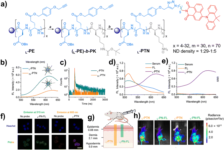 image file: d5cc06100h-f10.tif