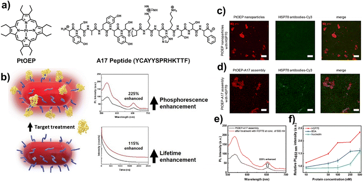 image file: d5cc06100h-f7.tif