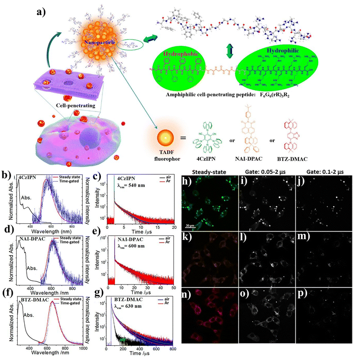 image file: d5cc06100h-f8.tif