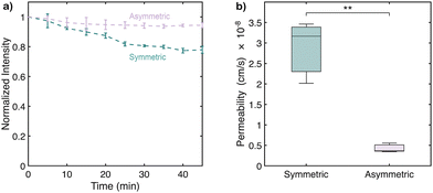 image file: d5cc06115f-f4.tif