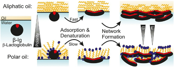 image file: d5cc06117b-f12.tif
