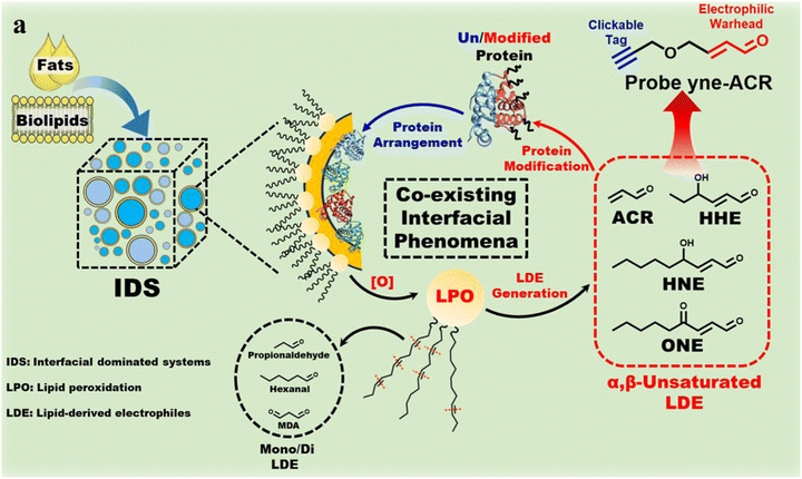 image file: d5cc06117b-f15.tif