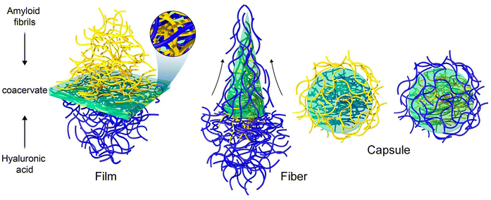 image file: d5cc06117b-f17.tif