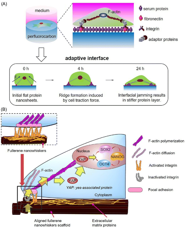 image file: d5cc06117b-f18.tif