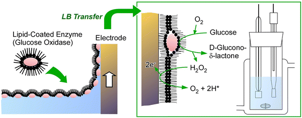 image file: d5cc06117b-f2.tif