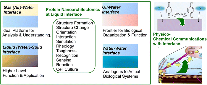 image file: d5cc06117b-f20.tif