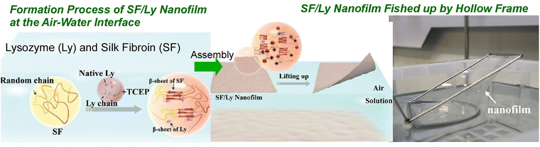 image file: d5cc06117b-f3.tif