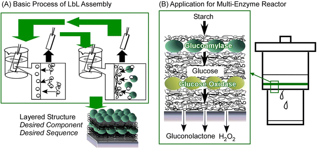 image file: d5cc06117b-f7.tif